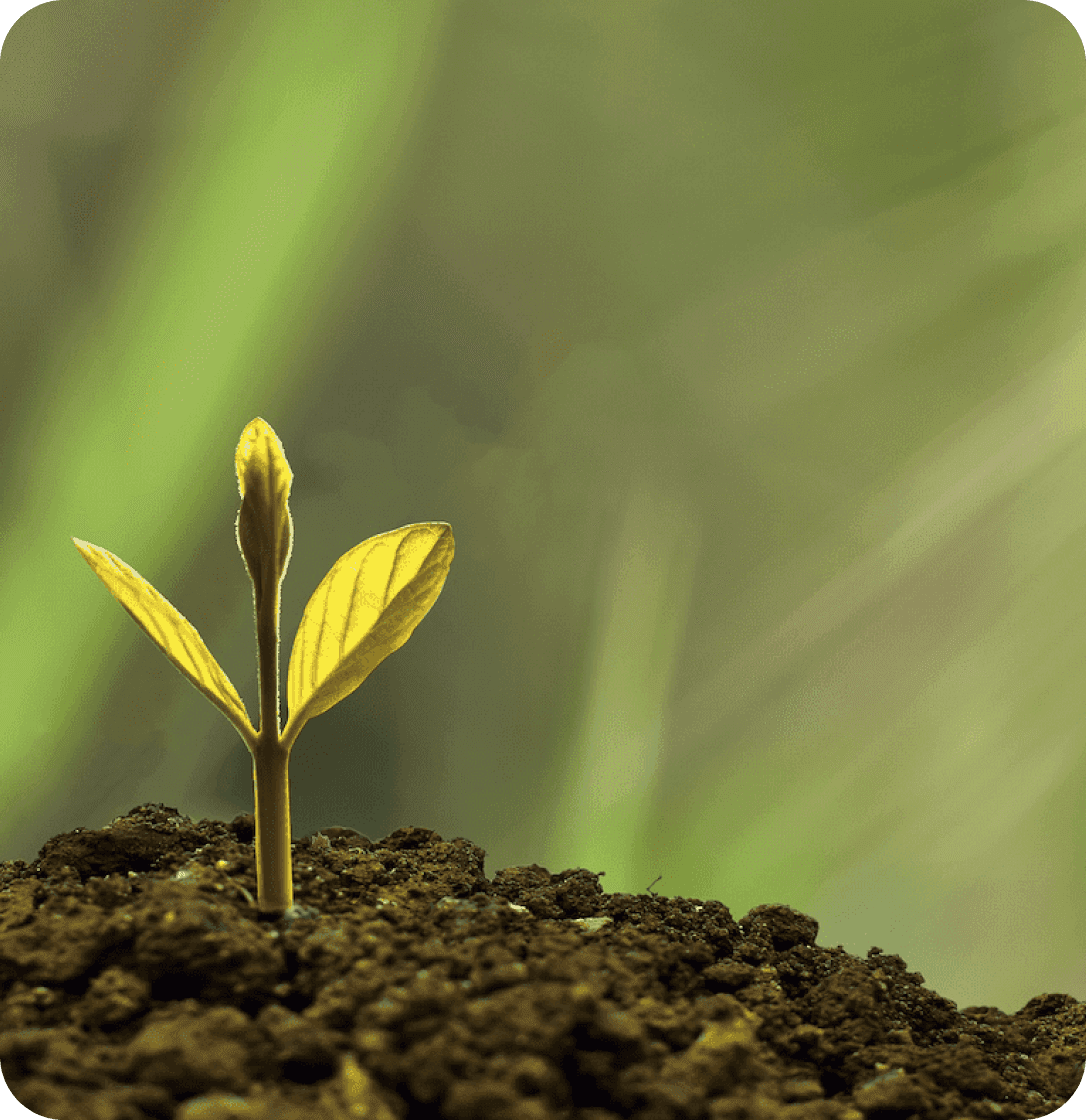 We supercharge
impact startups